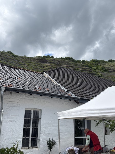 Hinter dem Weingut ragen direkt die Weinberge in die Höhe mit den teilweise bis zu 60 Jahre alten Weinreben.